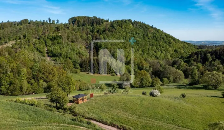 Działka budowlana Karpacz Wilcza Poręba, ul. Wilcza