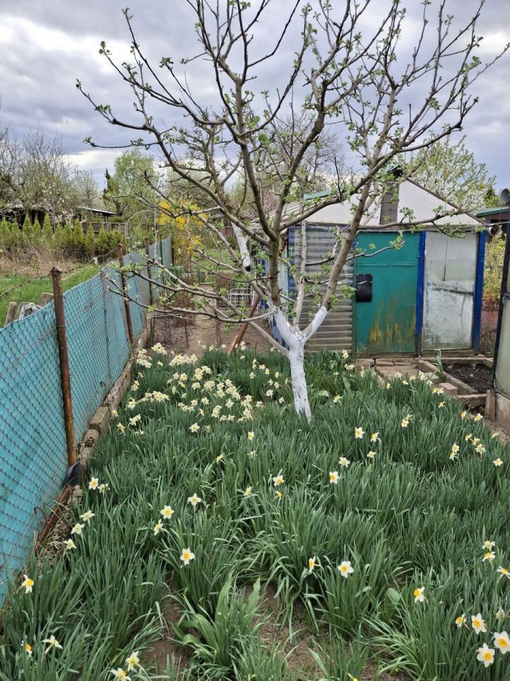 Działka rod Słupsk. Zdjęcie 5