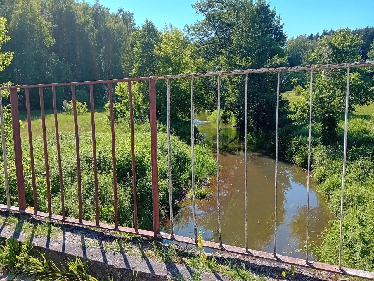 Działka leśna Jabłonowiec. Zdjęcie 3