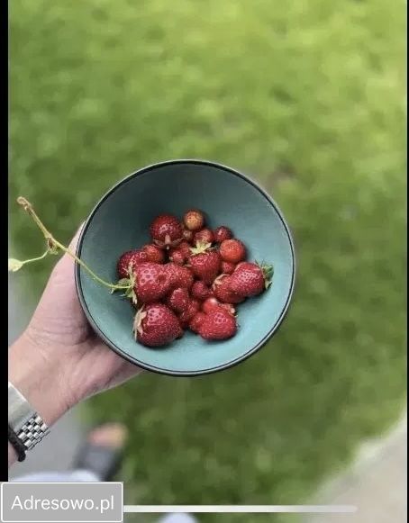 Mieszkanie 3-pokojowe Warszawa Wyczółki, ul. Kłobucka. Zdjęcie 10