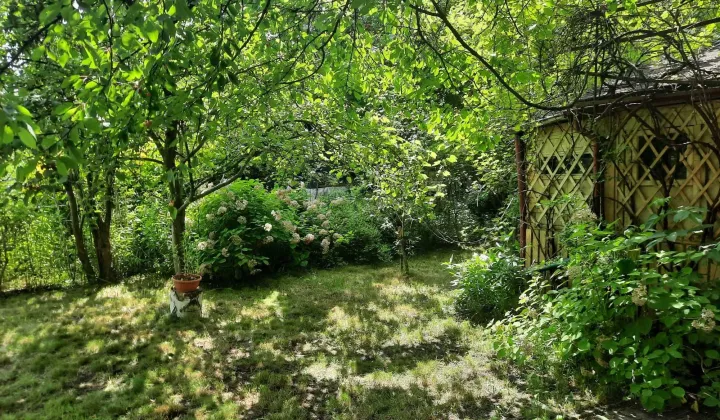 Działka rod Wrocław Krzyki, ul. Józefa Supińskiego