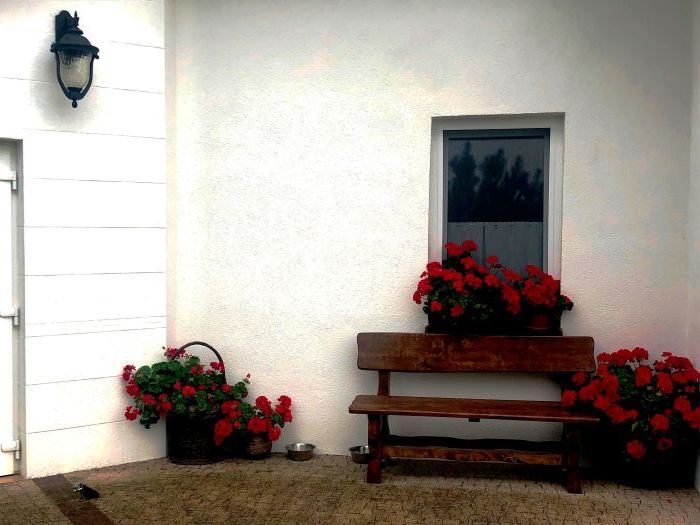 dom wolnostojący, 5 pokoi Lewino. Zdjęcie 4