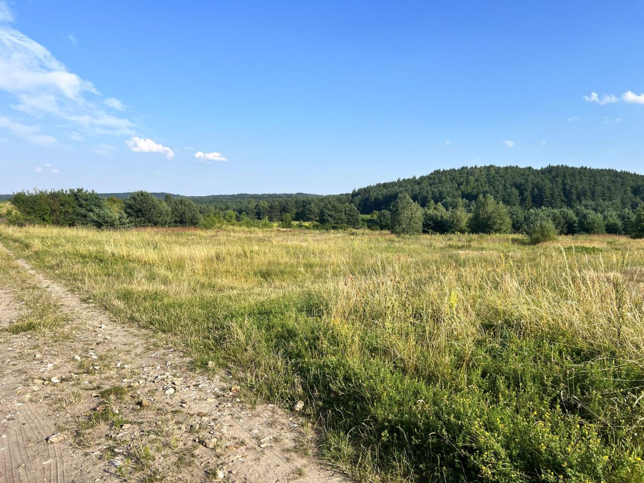 Działka rekreacyjna Złoty Potok. Zdjęcie 10