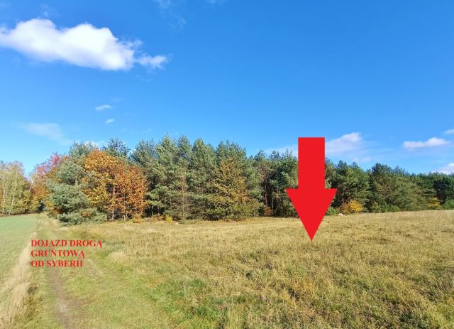 Działka budowlana Pieńki Henrykowskie. Zdjęcie 10