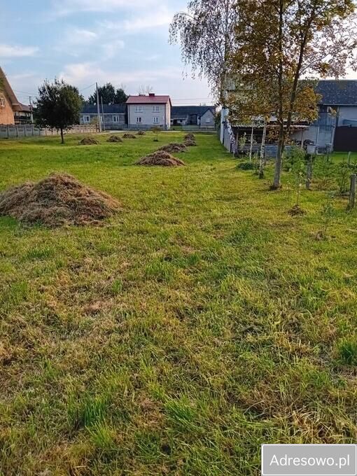 Działka budowlana Radkowice. Zdjęcie 3