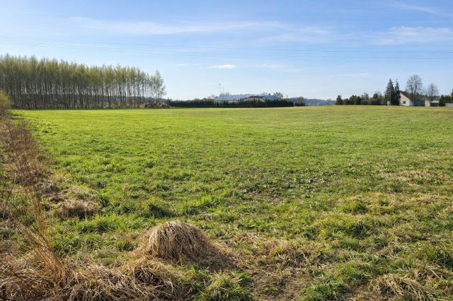 Działka budowlana Aleksandrowo. Zdjęcie 1