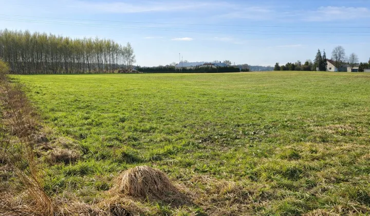 Działka budowlana Aleksandrowo