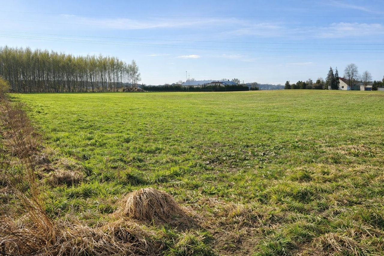 Działka budowlana Aleksandrowo. Zdjęcie 1