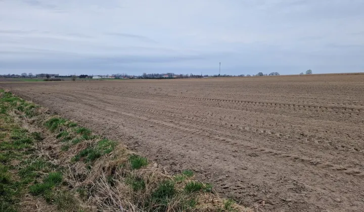 Działka budowlana Zborów