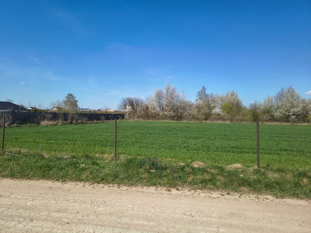 Działka rekreacyjna Suchożebry, ul. Leśna. Zdjęcie 1