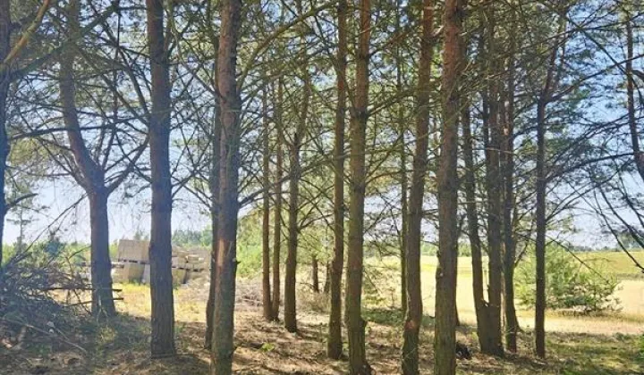 Działka budowlana Trzebuń