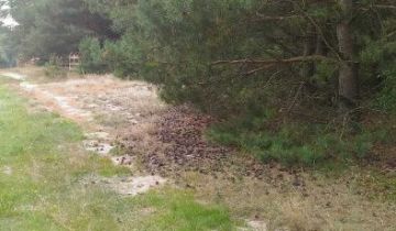 Działka rekreacyjna Chańcza