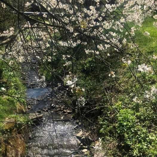 Działka budowlana Kamionka Wielka. Zdjęcie 7