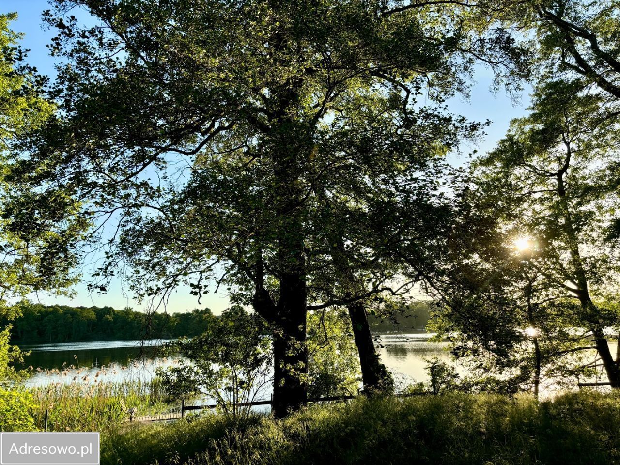 Działka budowlana Jeziory Wielkie. Zdjęcie 6