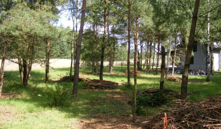 Działka rekreacyjna Chłopowo