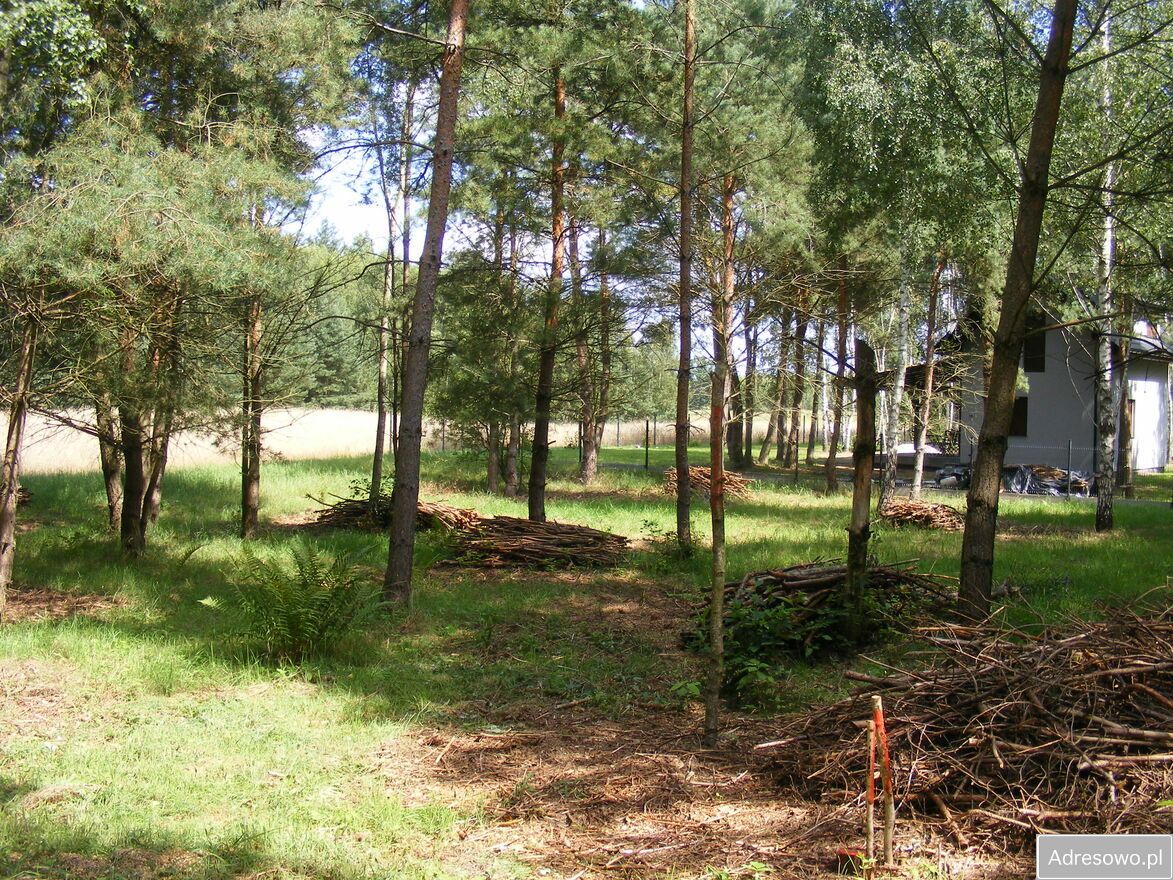 Działka rekreacyjna Chłopowo