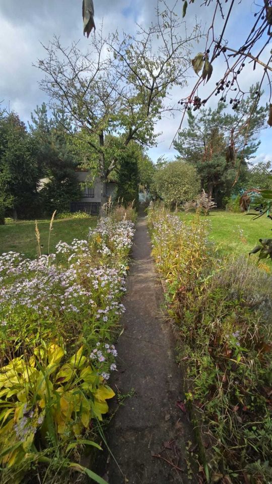 Działka rod Sosnowiec Pogoń, ul. Okólna. Zdjęcie 4