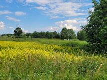 Działka budowlana Poniatowice. Zdjęcie 2