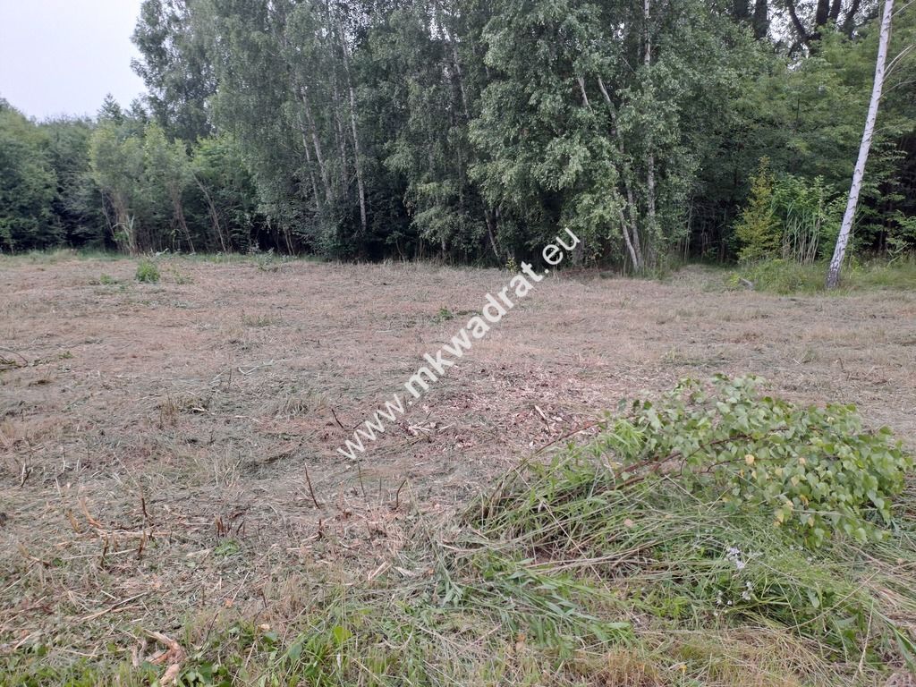 Działka budowlana Stara Wieś, ul. Olchowa. Zdjęcie 5