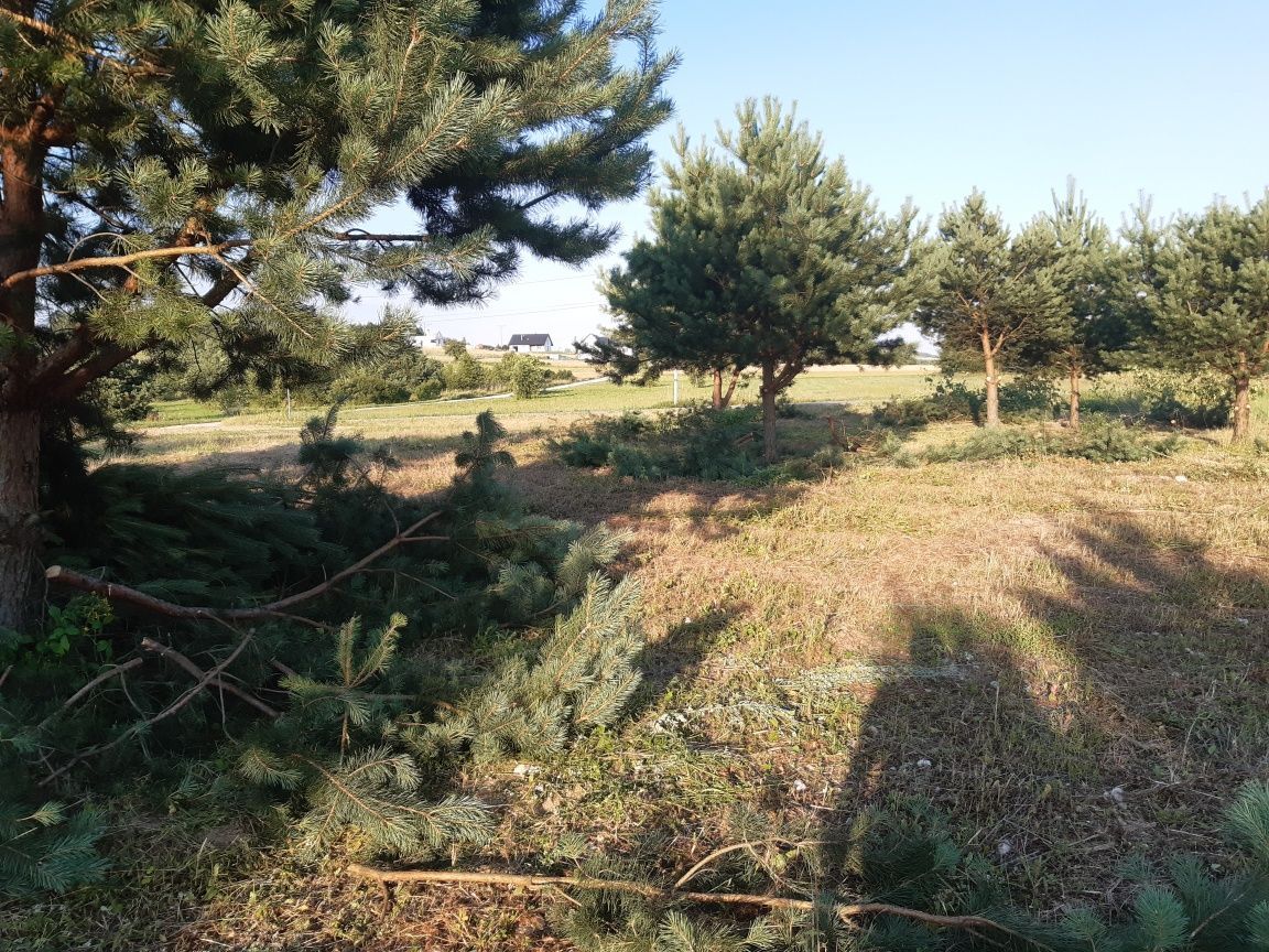 Działka budowlana Polichno. Zdjęcie 5