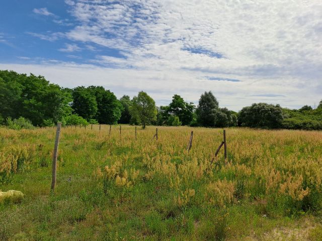 Działka budowlana Zapolice, ul. Parkowa. Zdjęcie 1