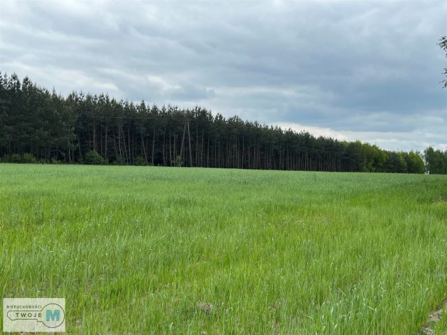 Działka rolna Trzciniec. Zdjęcie 1