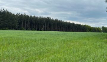 Działka rolna Trzciniec