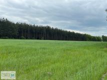 Działka rolna Trzciniec