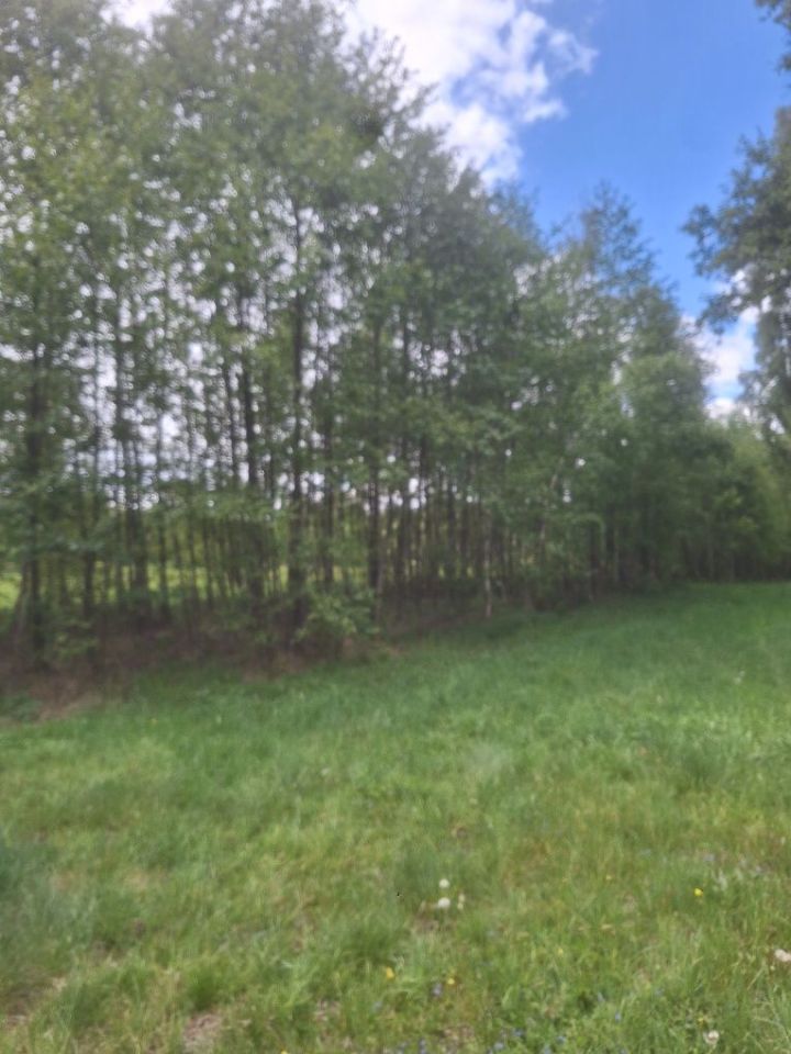 Działka leśna Rostki. Zdjęcie 4