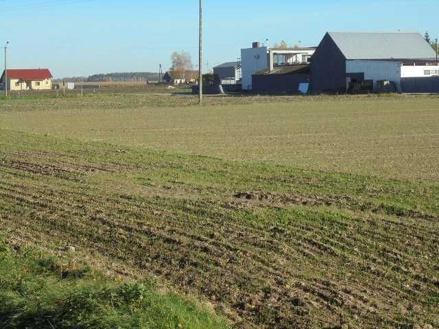 Działka budowlana Zbarzewo. Zdjęcie 6