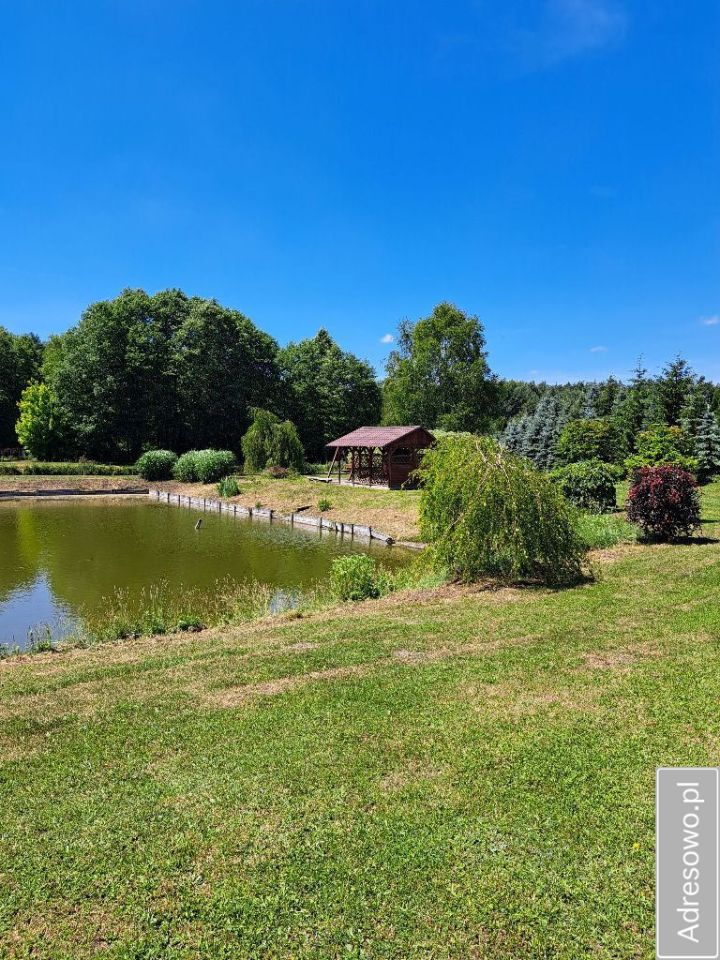 Działka budowlana Wólka Żabna. Zdjęcie 17