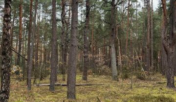 Działka rekreacyjna Osiedle Wilga