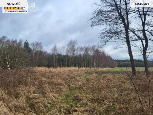 Działka rekreacyjna Chłopowo. Zdjęcie 11