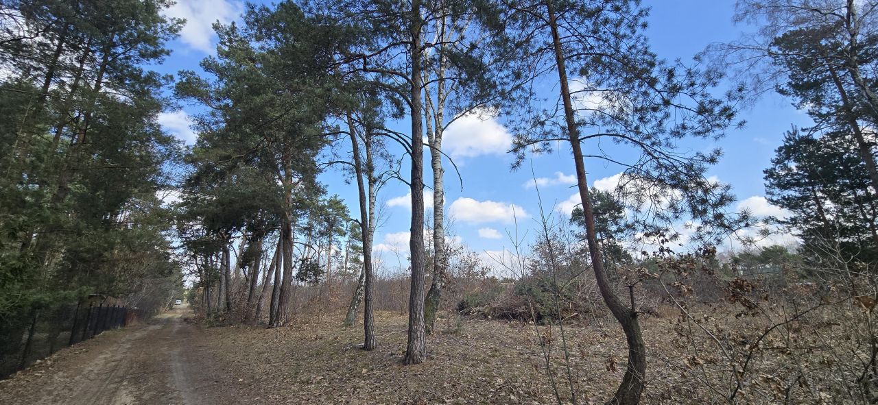 Działka budowlana Adolfów, ul. Piaskowa. Zdjęcie 3