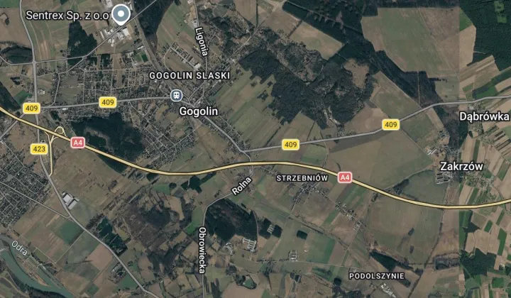 Działka budowlana Gogolin, ul. Strzelecka