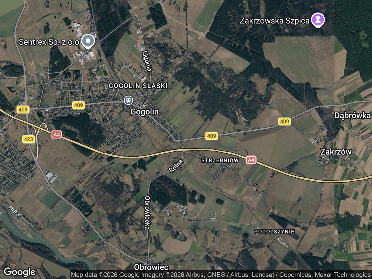 Działka budowlana Gogolin, ul. Strzelecka. Zdjęcie 1