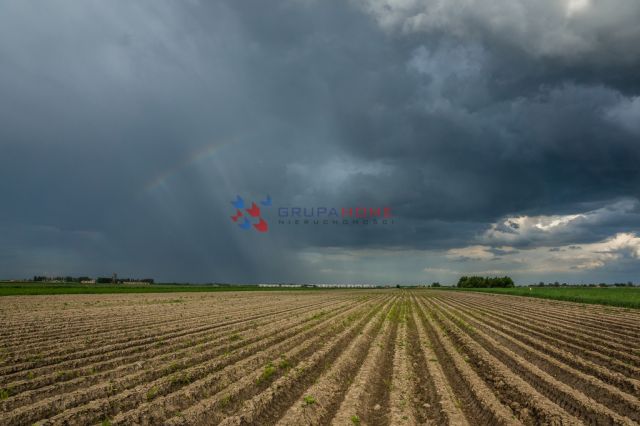 Działka rolna Lesznowola. Zdjęcie 1