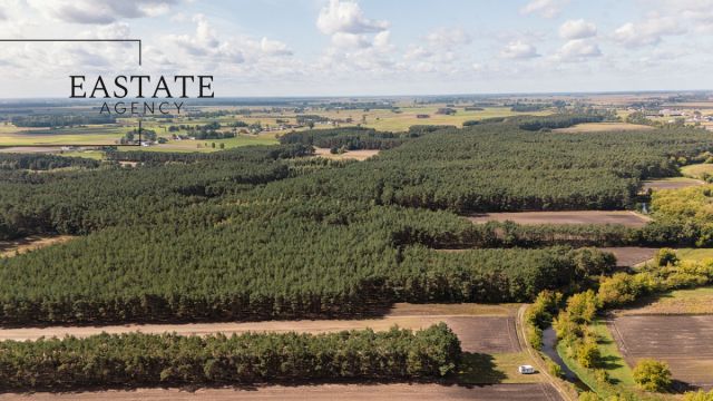 Działka leśna Maurzyce. Zdjęcie 5