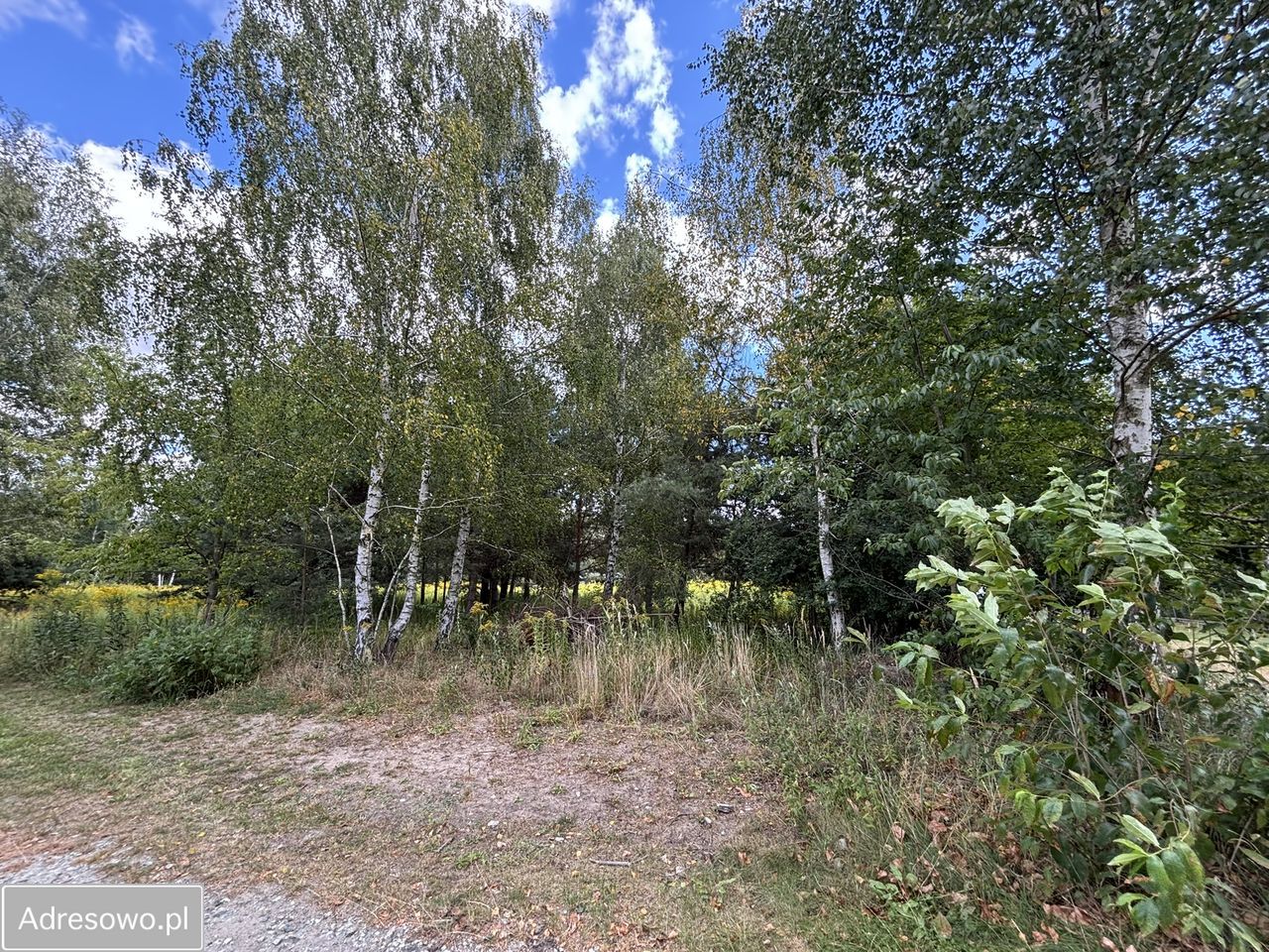 Działka budowlana Miłoszyce, ul. Azaliowa. Zdjęcie 4