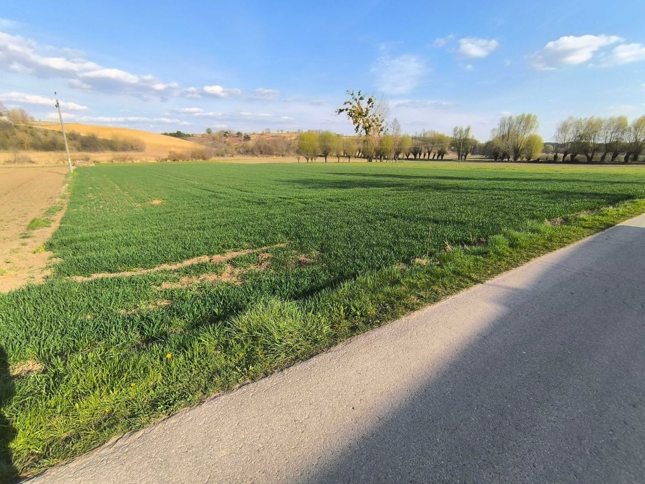 Działka siedliskowa Studzianki. Zdjęcie 7