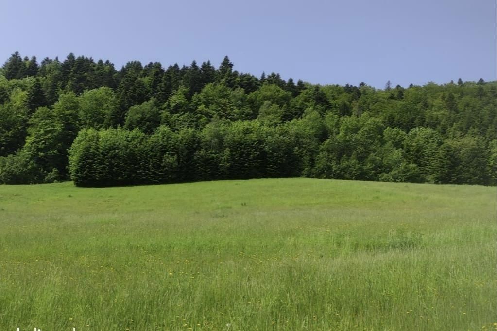 Działka budowlana Zahoczewie. Zdjęcie 5