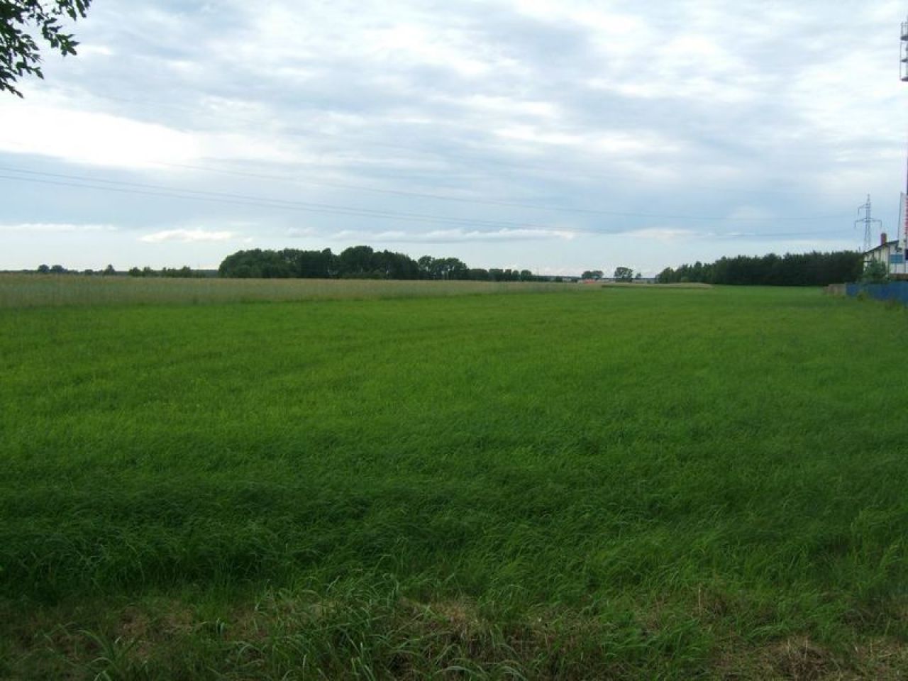 Działka inwestycyjna Maków Mazowiecki. Zdjęcie 9