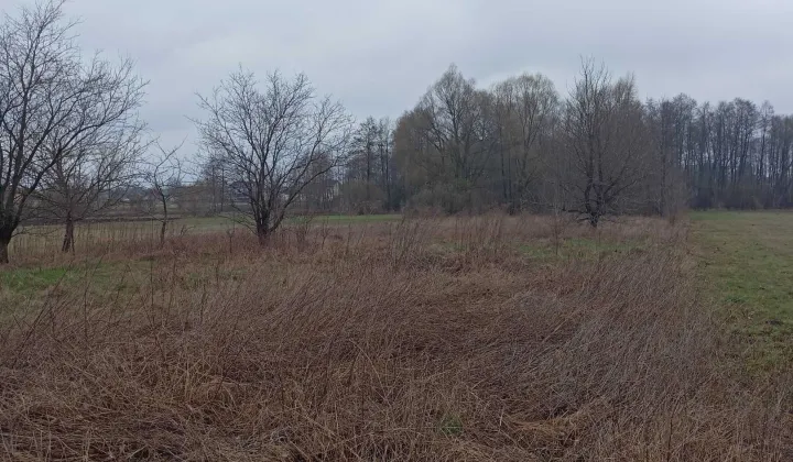 Działka rolna Baczki