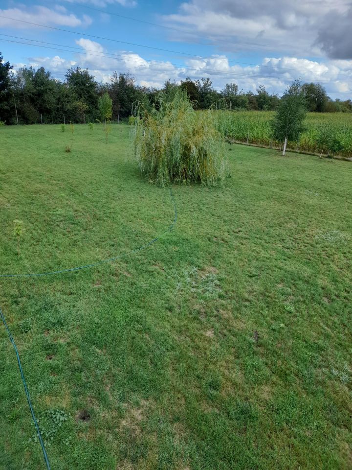 Działka budowlana Cienin Zaborny. Zdjęcie 8