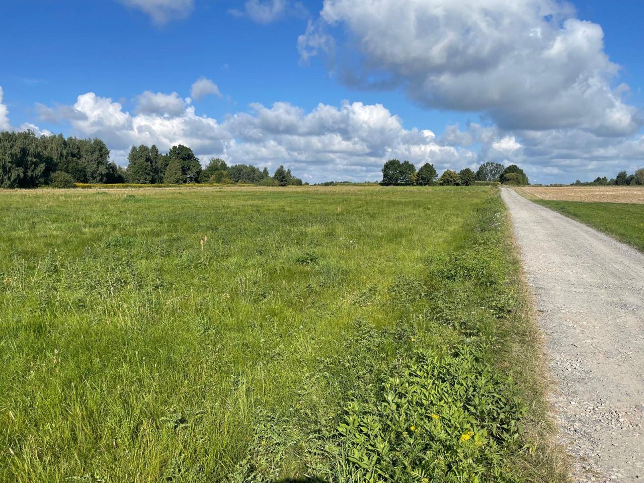 Działka budowlana Łąki. Zdjęcie 14