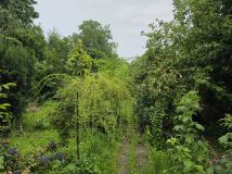 Działka rod Gliwice Trynek, ul. Feliksa Orlickiego. Zdjęcie 4