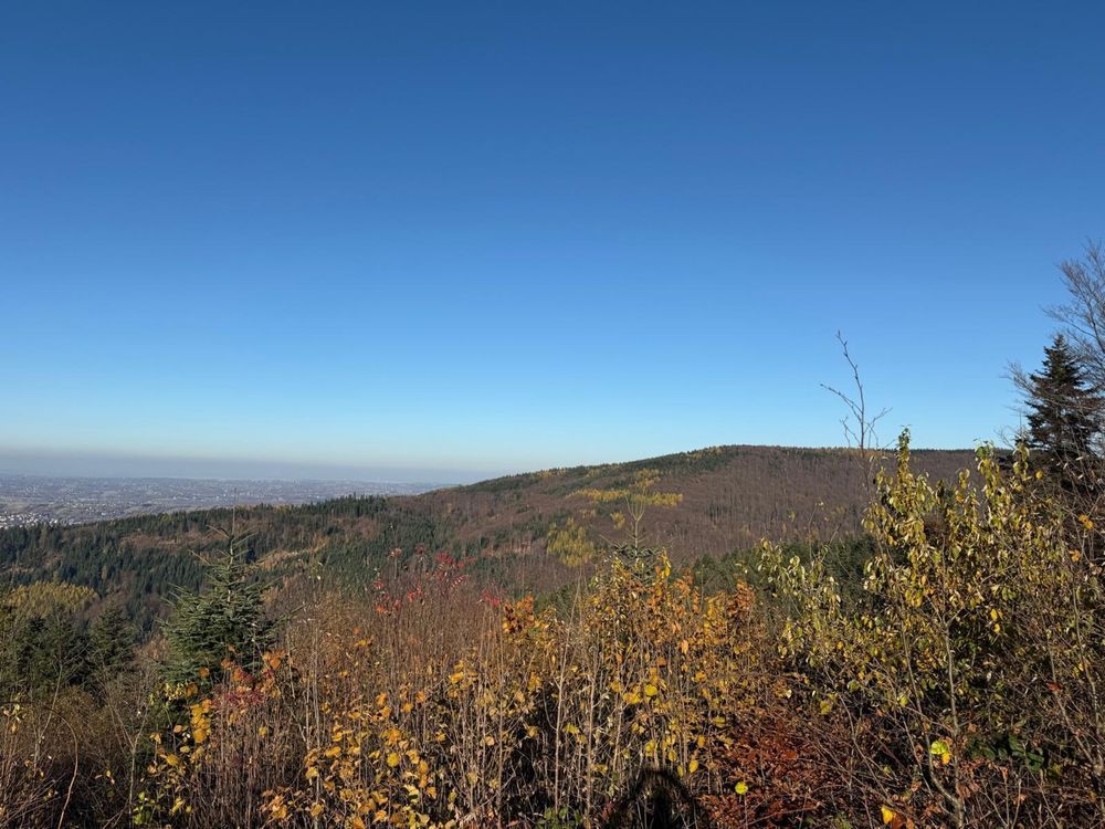 Działka budowlana Myślenice Chełm. Zdjęcie 5