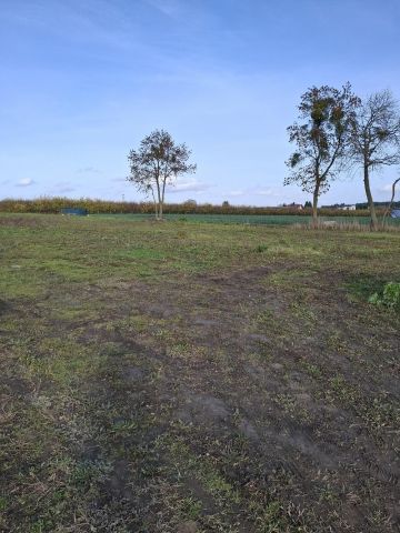 Działka rolno-budowlana Mochle. Zdjęcie 5