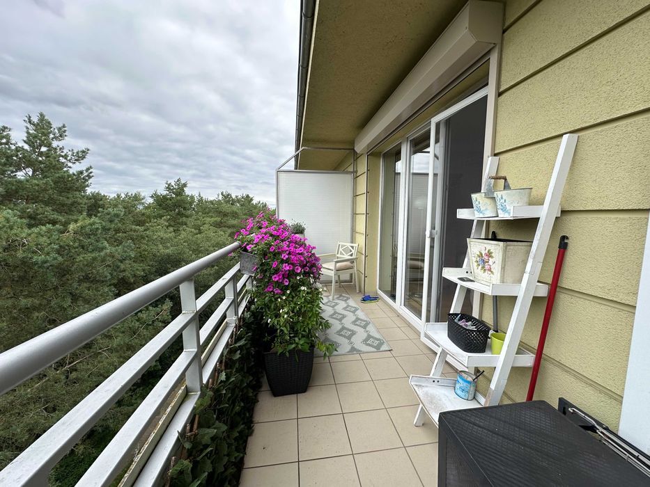 Mieszkanie 3-pokojowe Piła Jadwiżyn. Zdjęcie 6