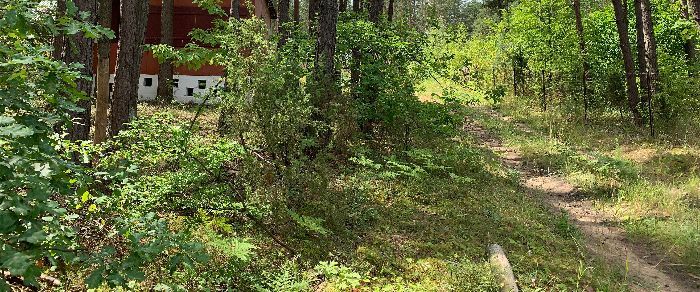 Działka rekreacyjna Serpelice. Zdjęcie 7